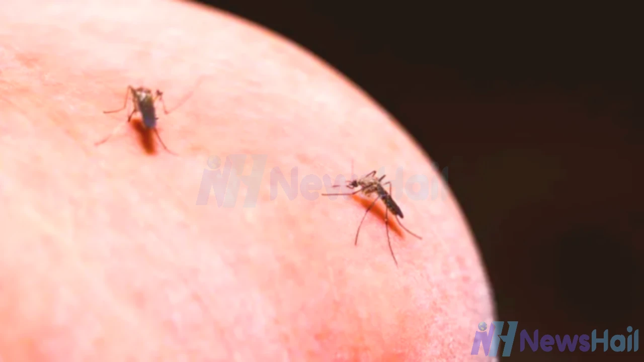 New Drug-Coated Bed Nets Could Stop Malaria Spread by Mosquitoes