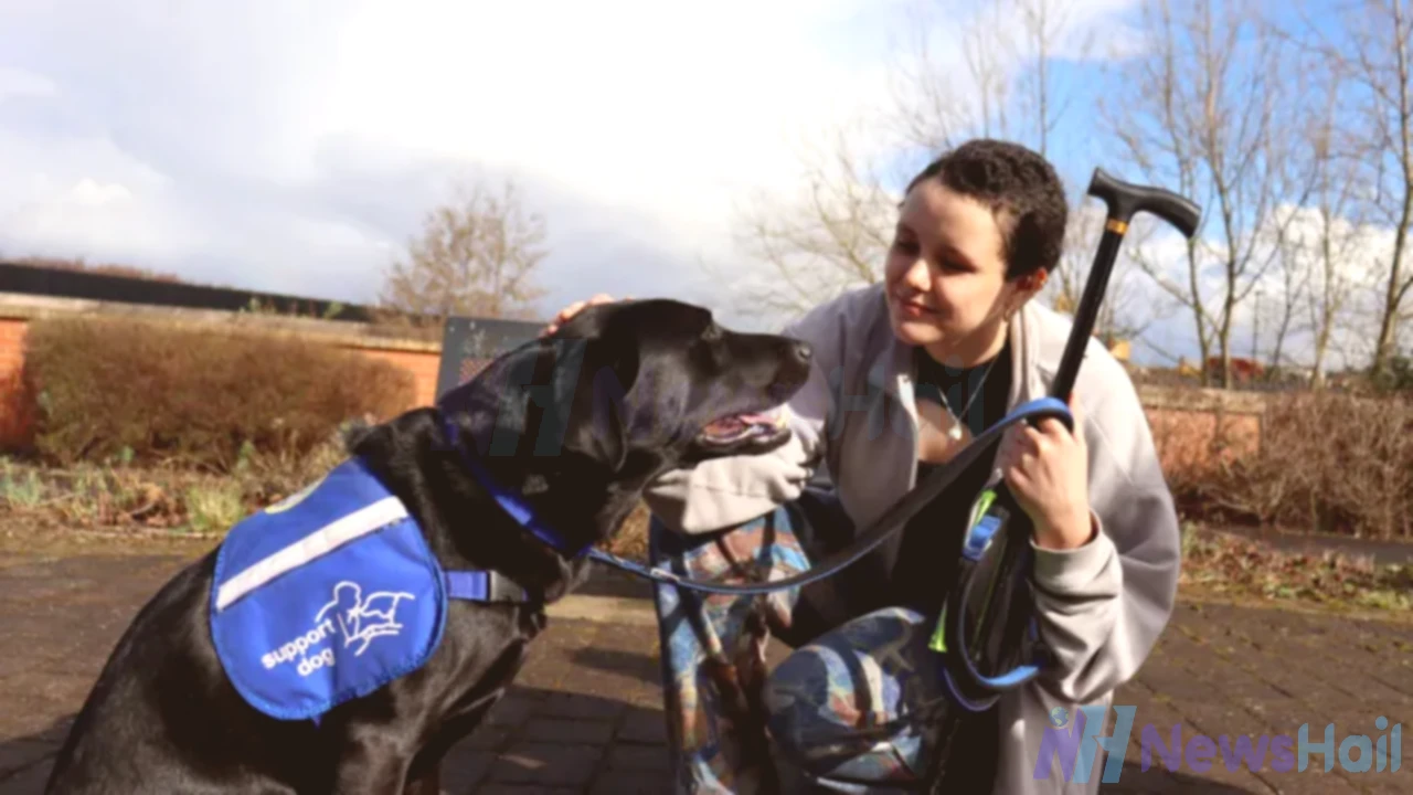 Support Dog Gives Disabled Student Newfound Confidence and Freedom
